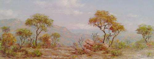 Henry Bredenkamp - Beautiful landscape - Beautifully framed - Nice price!